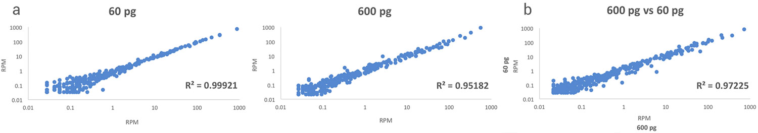 Small-RNA_Figure1.jpg