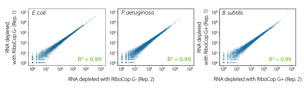 Figure_05_RiboCop-Reproducibility.jpg