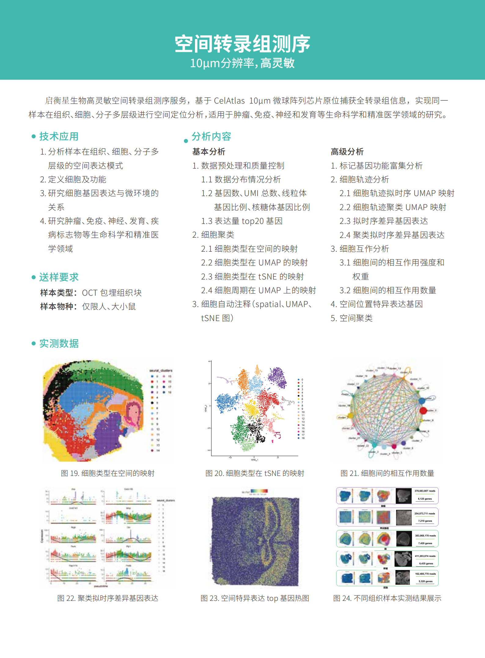 单细胞多组学解决方案-启衡星_07.png