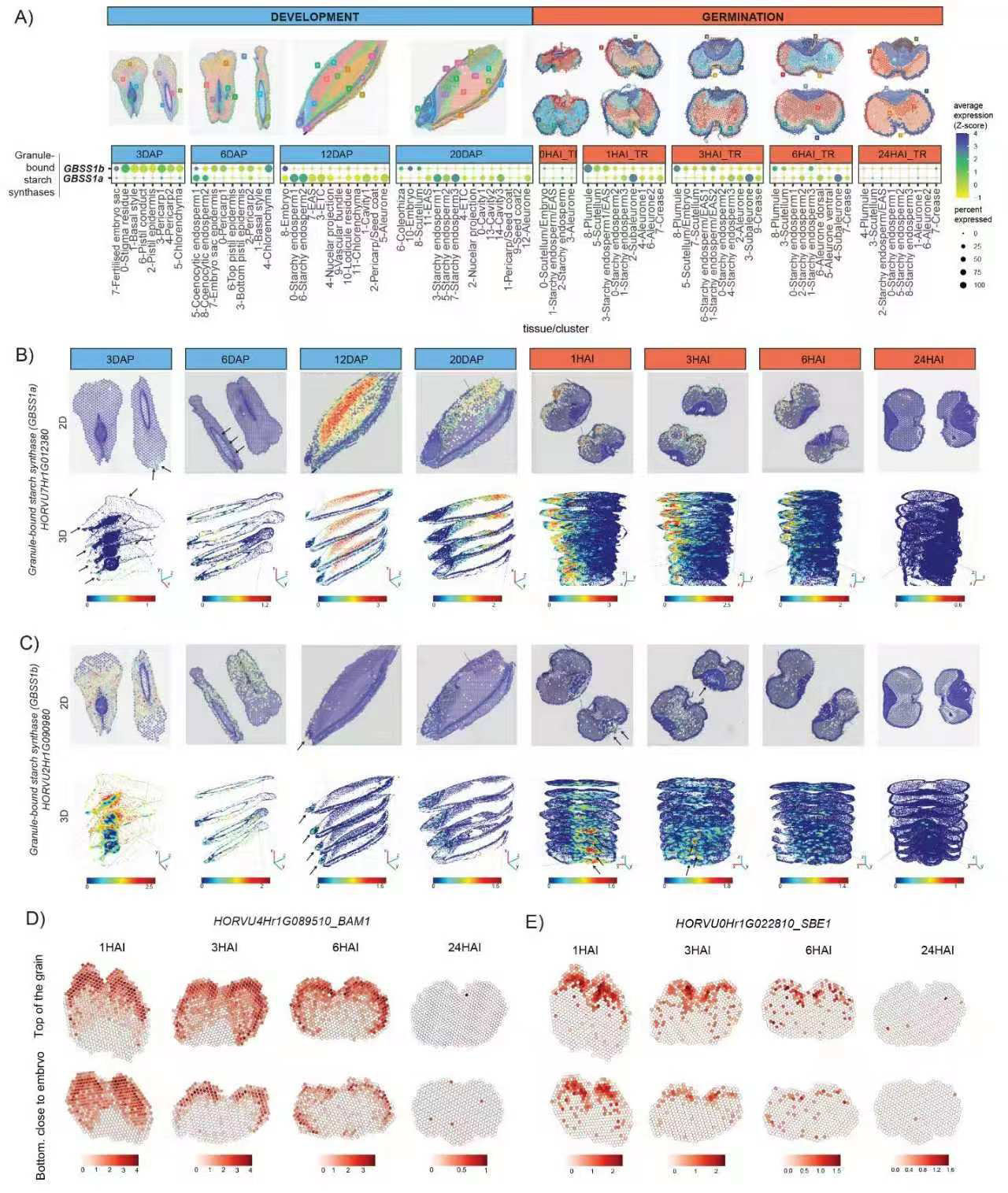 普-4.jpg